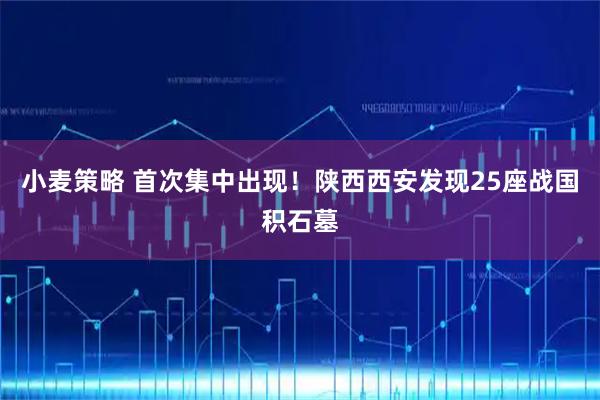 小麦策略 首次集中出现！陕西西安发现25座战国积石墓